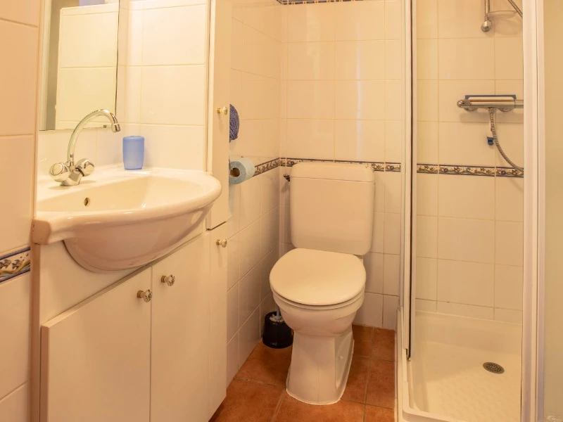 Salle d'eau avec douche