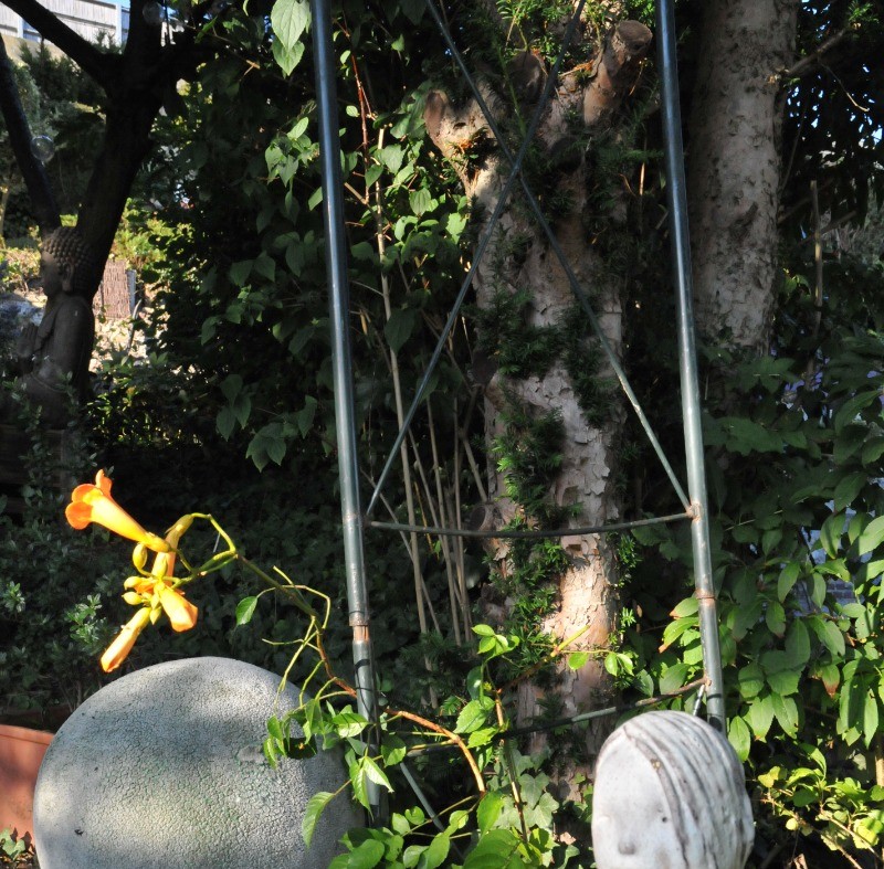 Photo n° 7 of the location