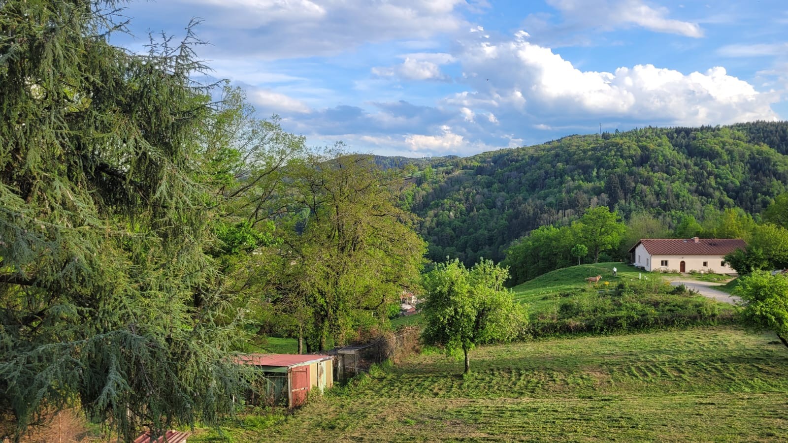 "Chez Cécile" - Olliergues - Extérieur