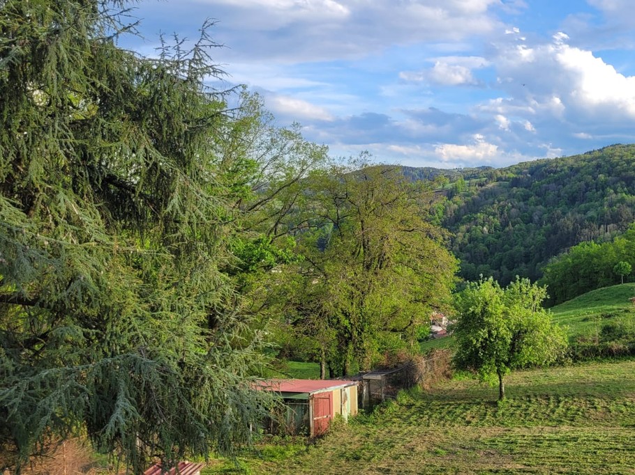 "Chez Cécile" - Olliergues - Extérieur