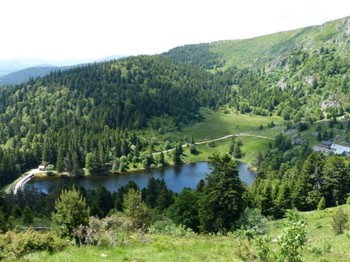 Chalet Renard - Les alentours