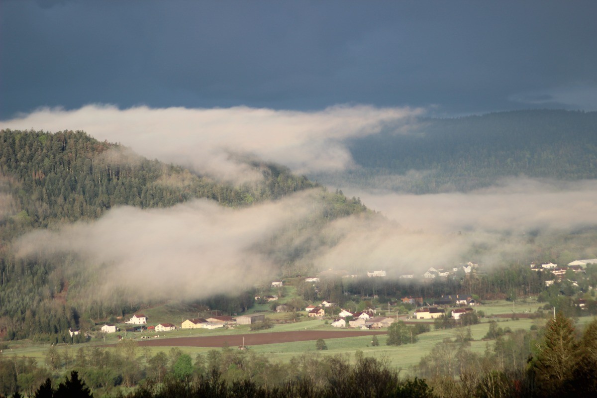 brumes matinales en automne