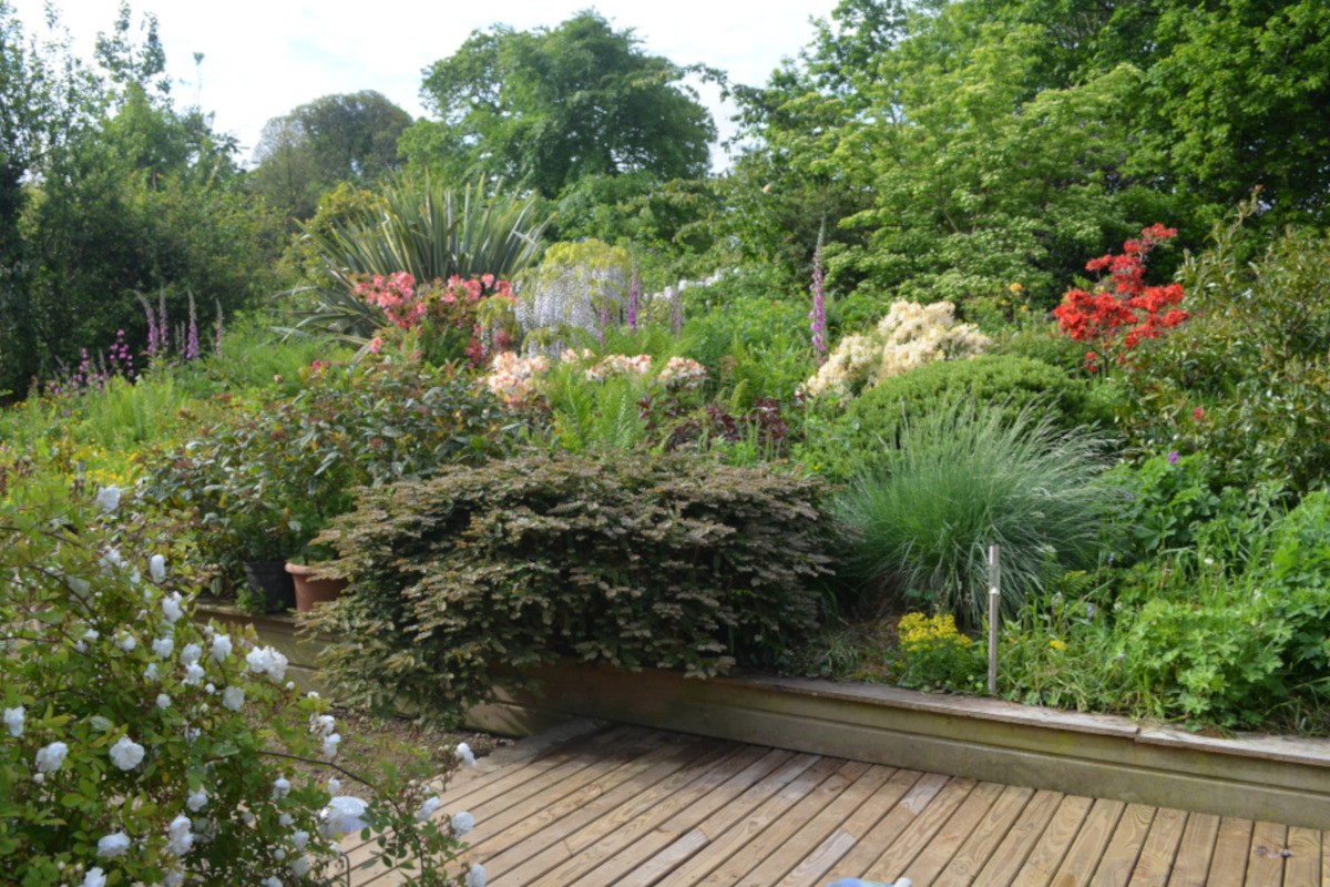 vue de la terrasse au printemps