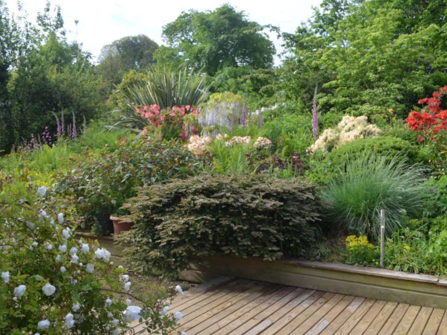 vue de la terrasse au printemps