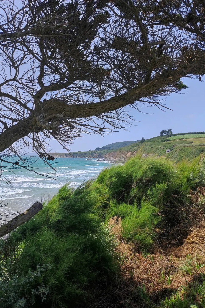 Photo n° 18 of the location