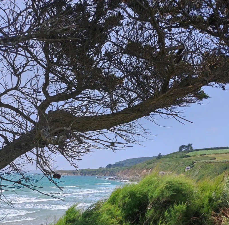 Photo n° 18 de la location