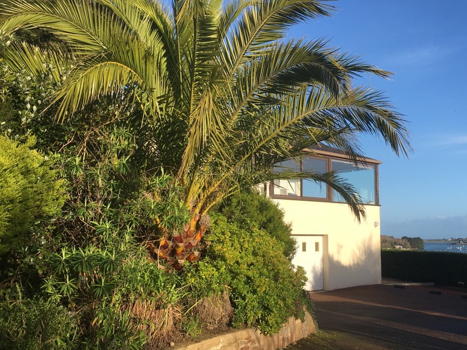 Vue Rez de jardin