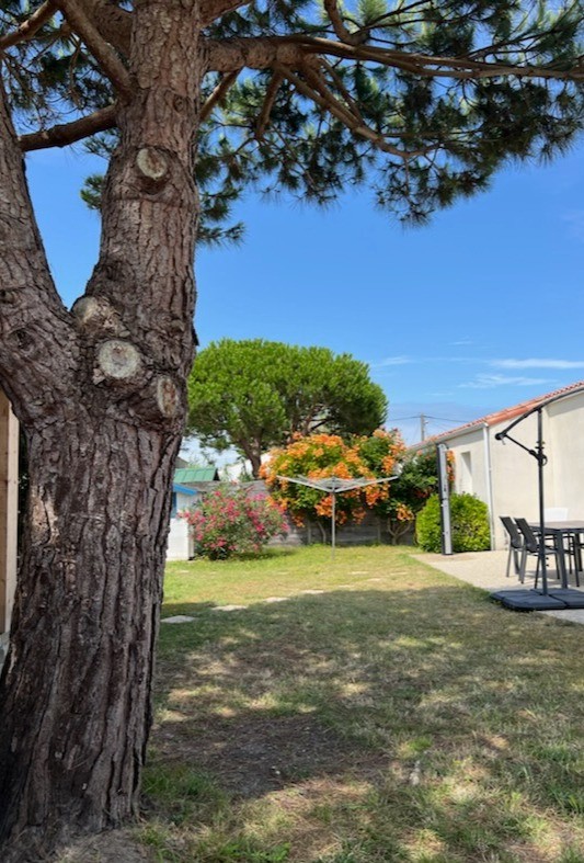 Photo n° 9 de la location