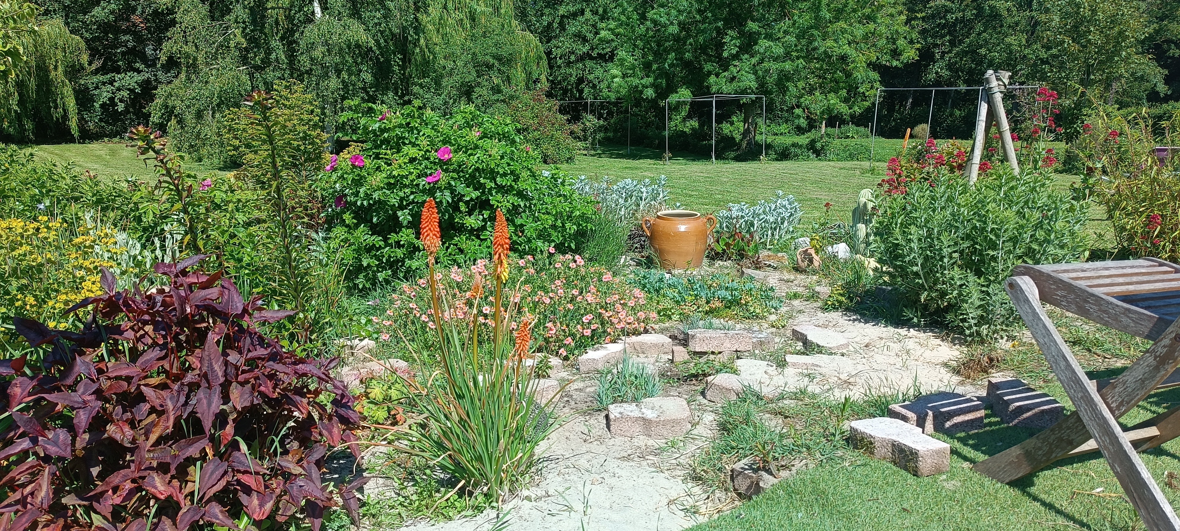Flowers and plants Retour du Lac Ardres