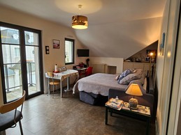 Studio avec coin cuisine sur la gauche, canapé-lit convertible confortable 160 x 200 cm, table à manger, bureau, TV, rangements, salle d'eau et WC privatifs.