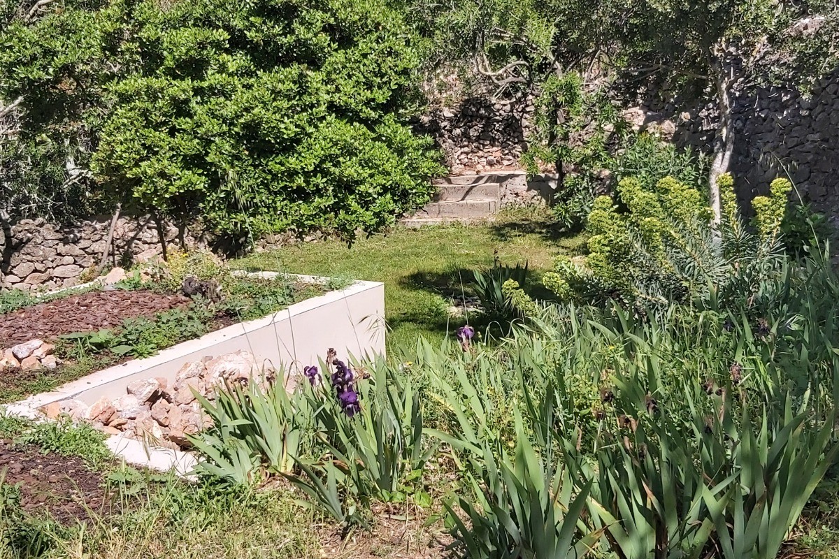 Jardin nord