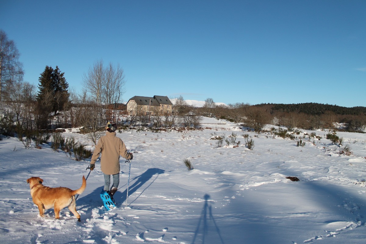 La vue sur le Sancy en hiver