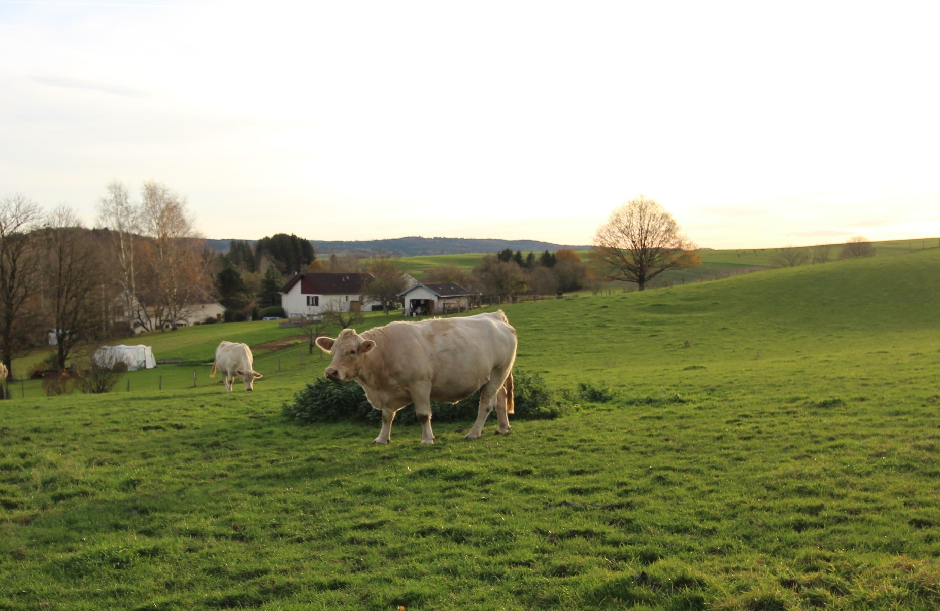 A quelques pas du gîte - Au Domaine Paisible