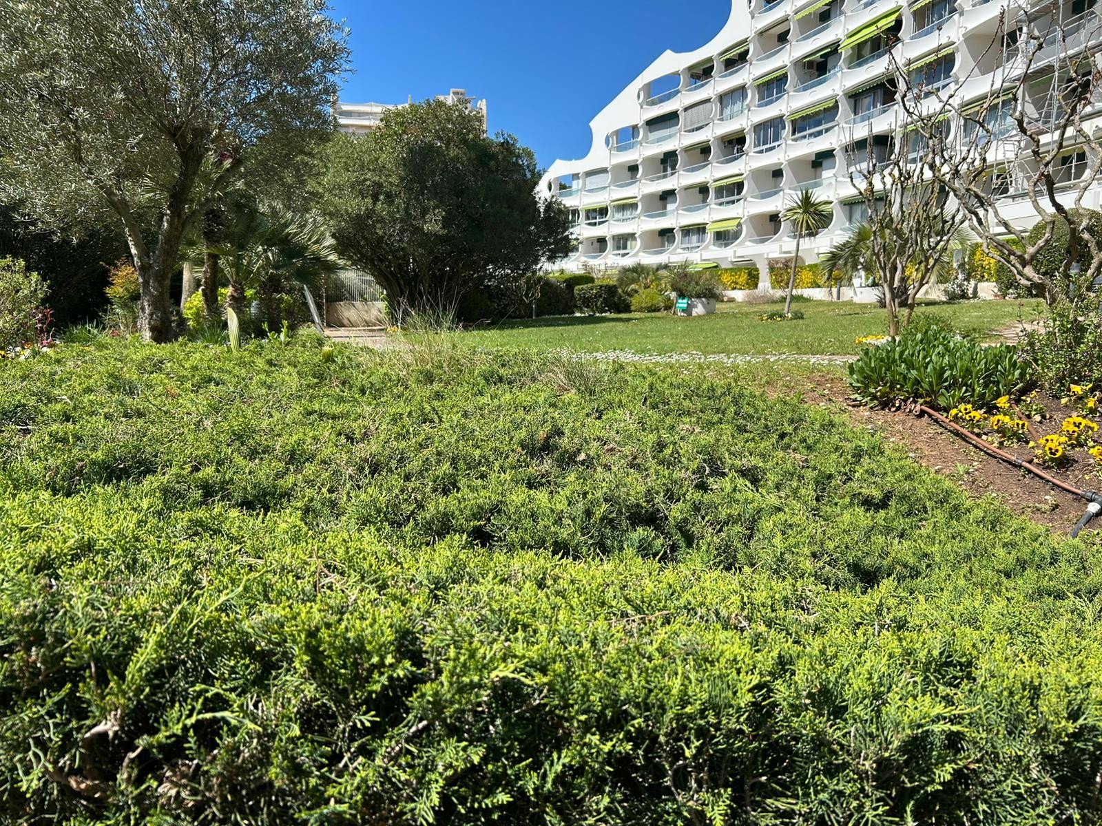 Photo n° 17 de la location