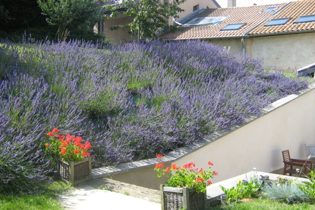 Photo n° 2 de la location