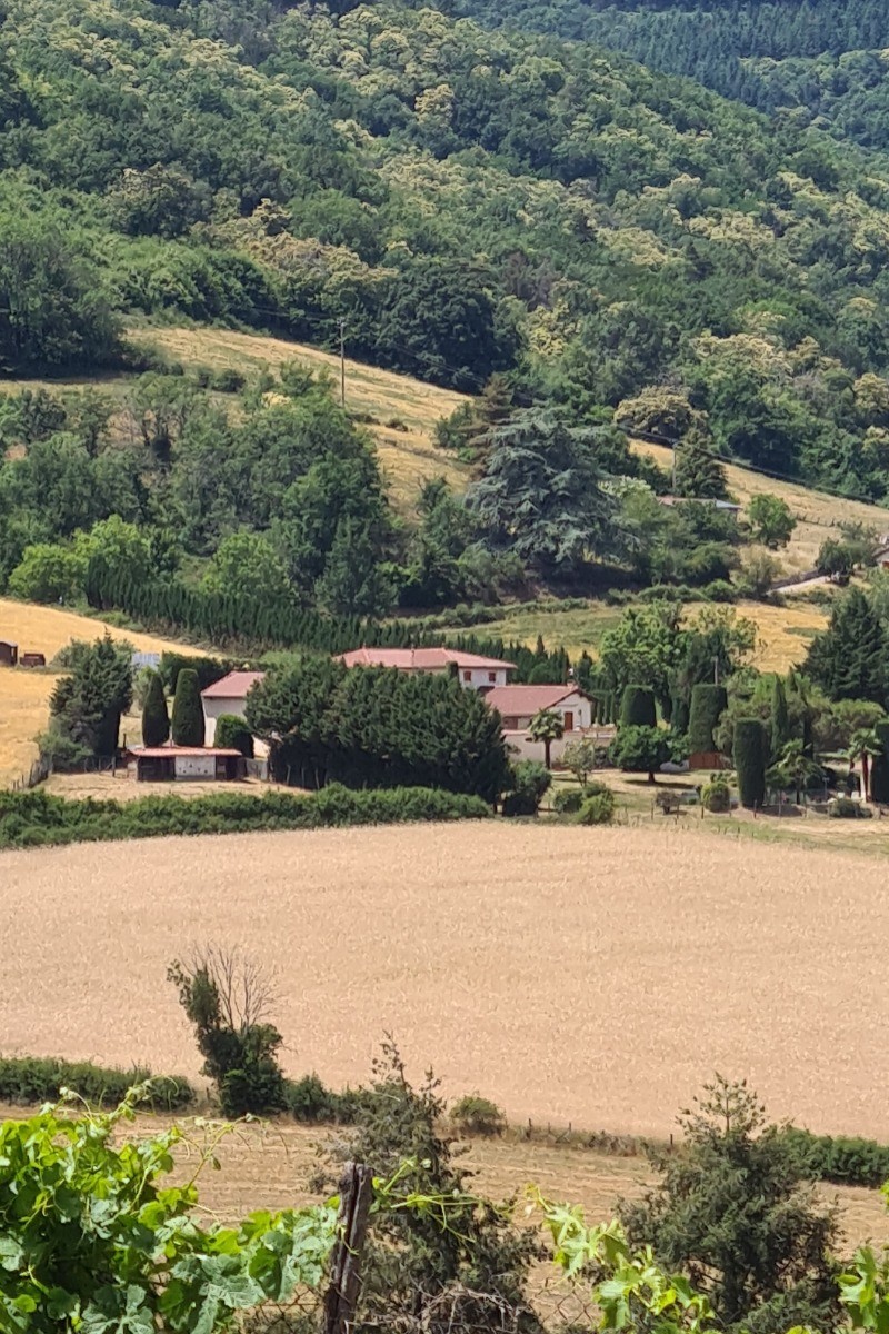 VUE DE LA PROPRIETE AU COEUR DE LA NATURE