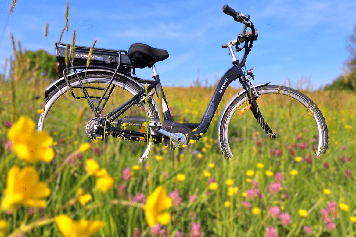 Photo Le Vallon de Léhon/ Location de vélos électrique