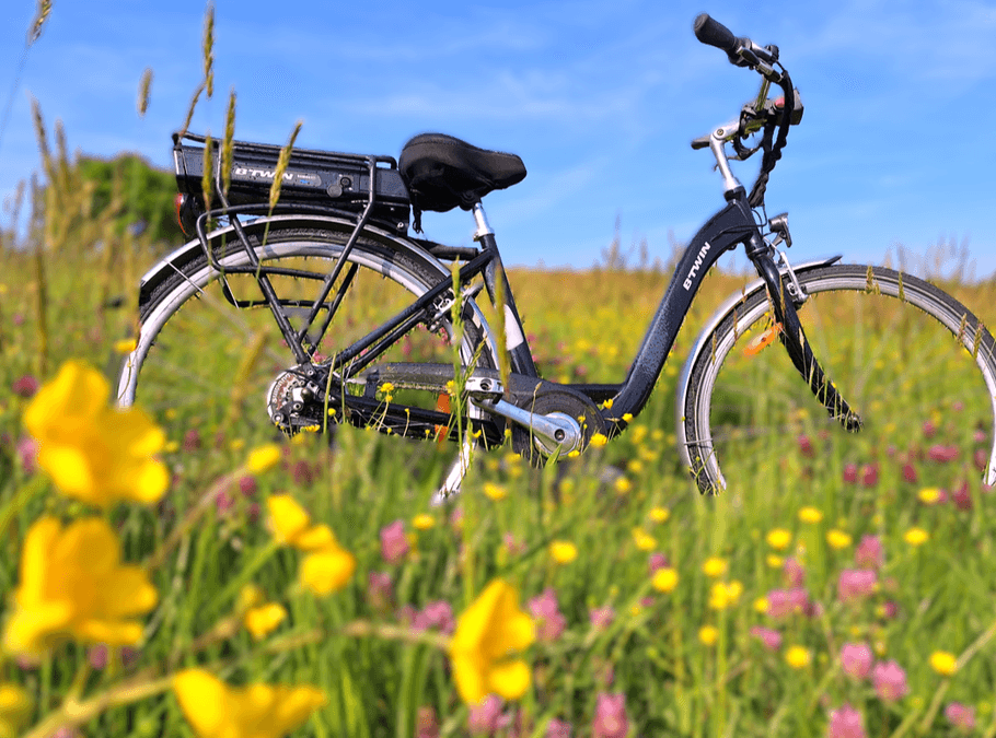Photo Le Vallon de Léhon/ Location de vélos électrique