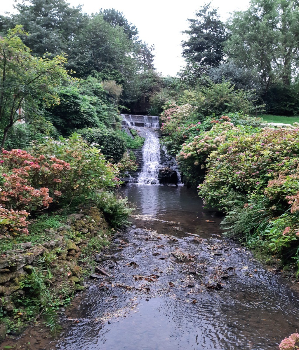 la petite cascade de la ballade pédestre du sentier  de la vallée du Denacre à 10 minutes de notre logement. Une jolie petite balade bucolique et pleine de charme dans le Boulonnais au départ de Wimille à proximité de Wimereux.