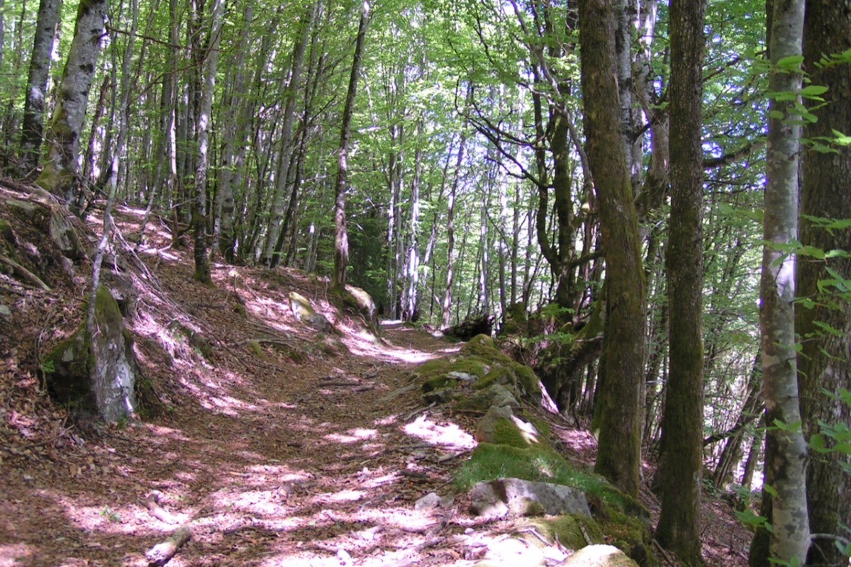 Photo n° 20 de la location