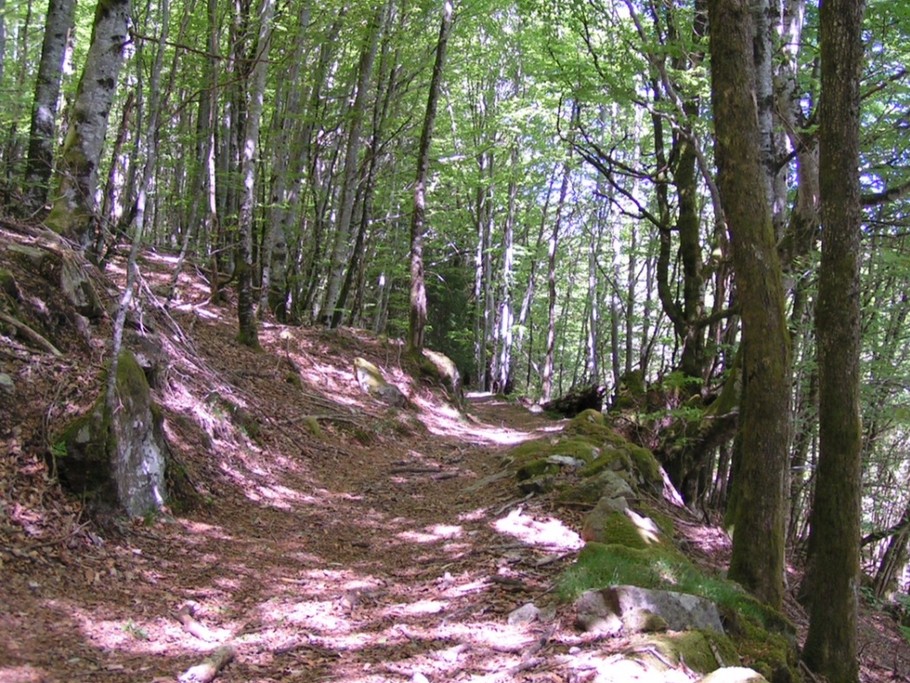 Photo n° 20 de la location