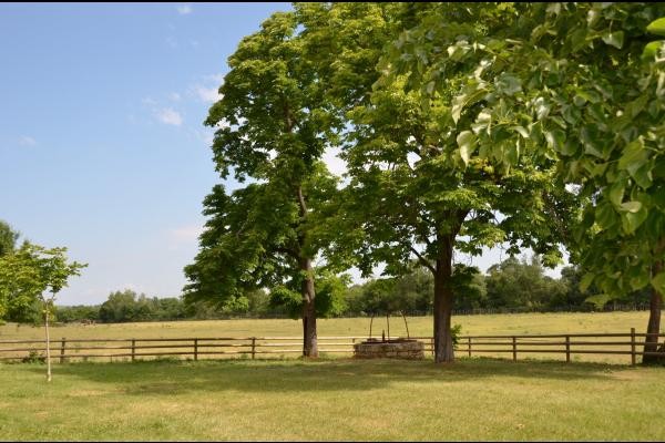 domaine