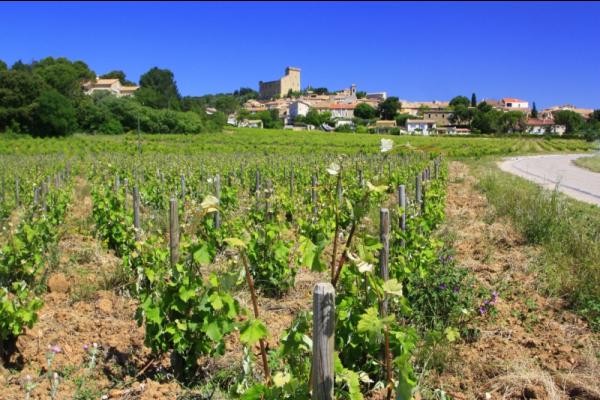 ©HOCQUEL Alain - Coll. ADT Vaucluse