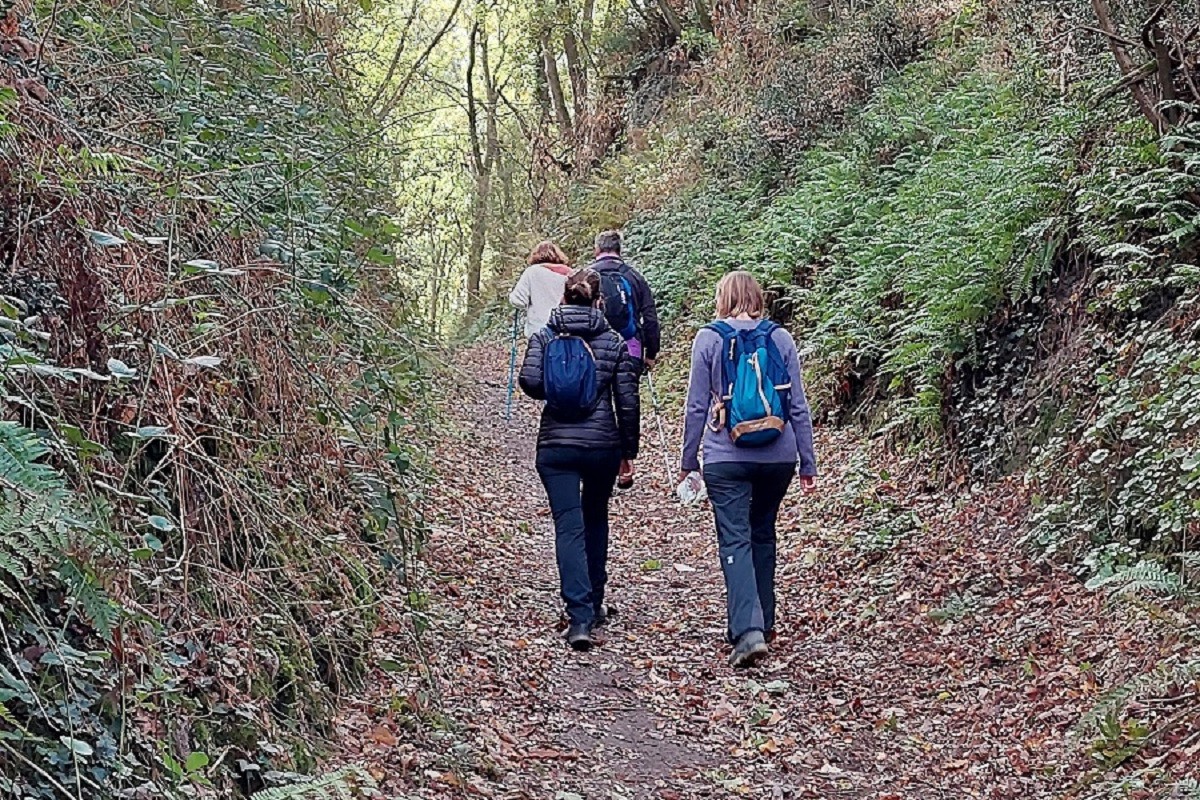 Chemin de randonnée