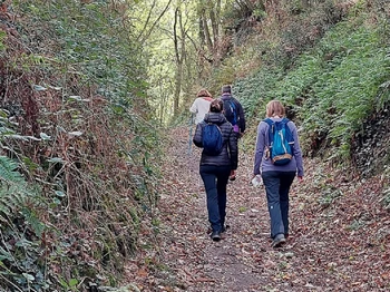Chemin de randonnée