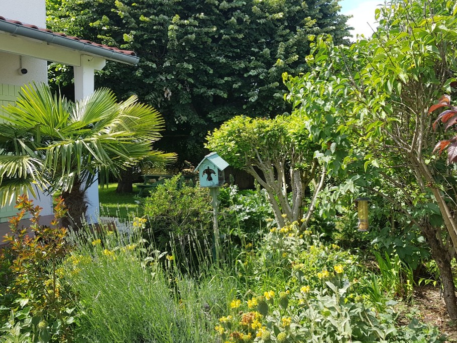 JARDIN