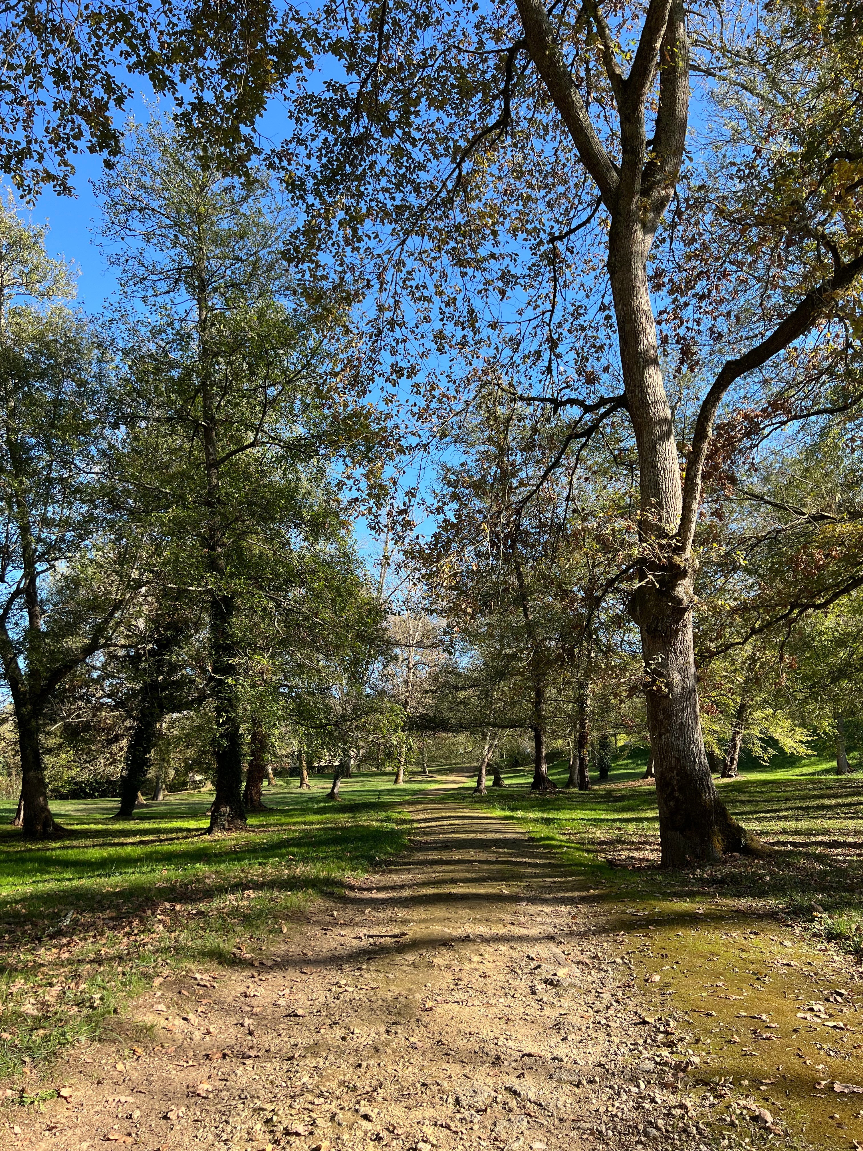 Parc de Barbotan
