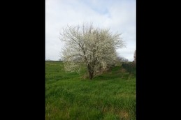 Image n° 5 de la location