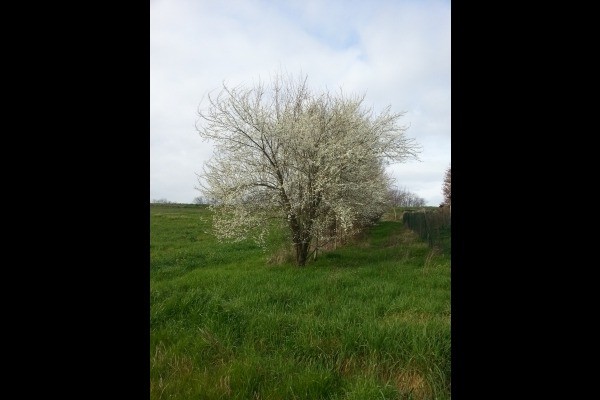 Photo n° 11 de la location