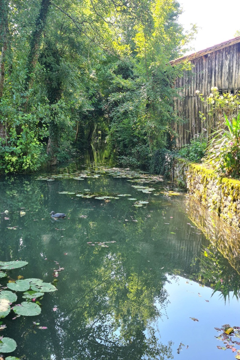 Photo n° 13 of the location