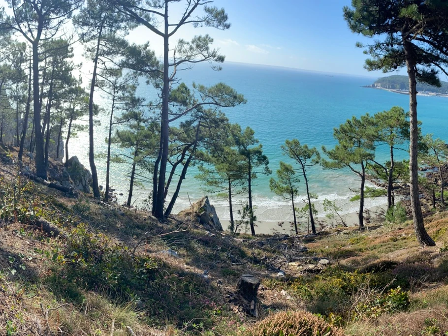 Photo n° 20 de la location