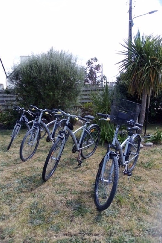 Vélos à disposition