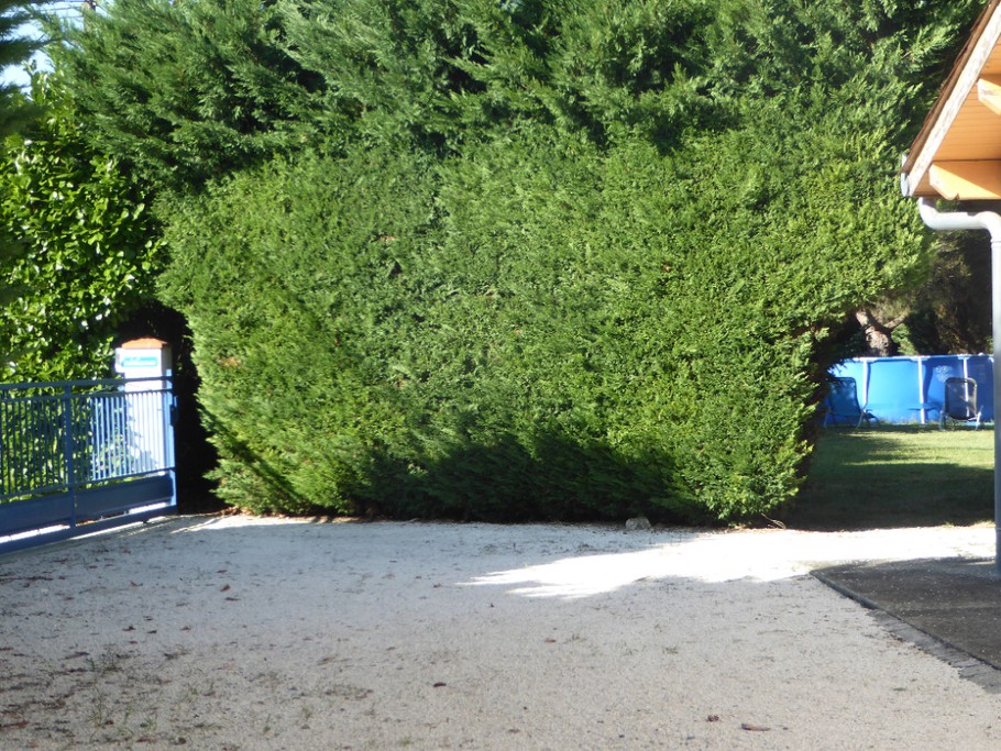 Photo n° 10 de la location