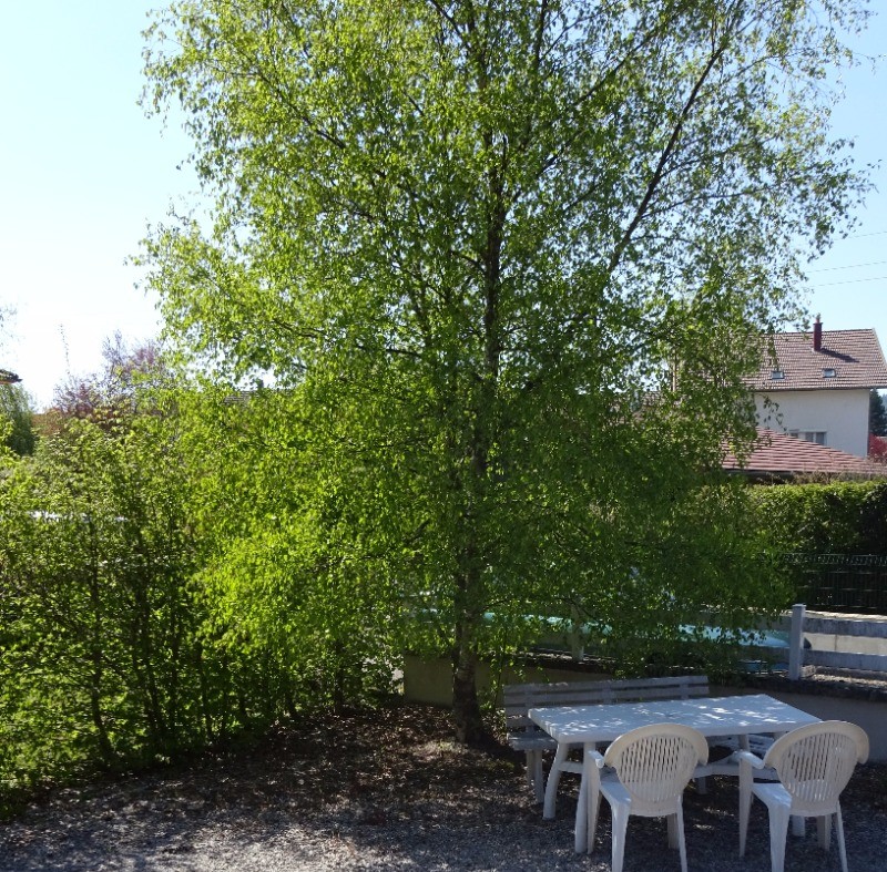 Photo n° 15 de la location