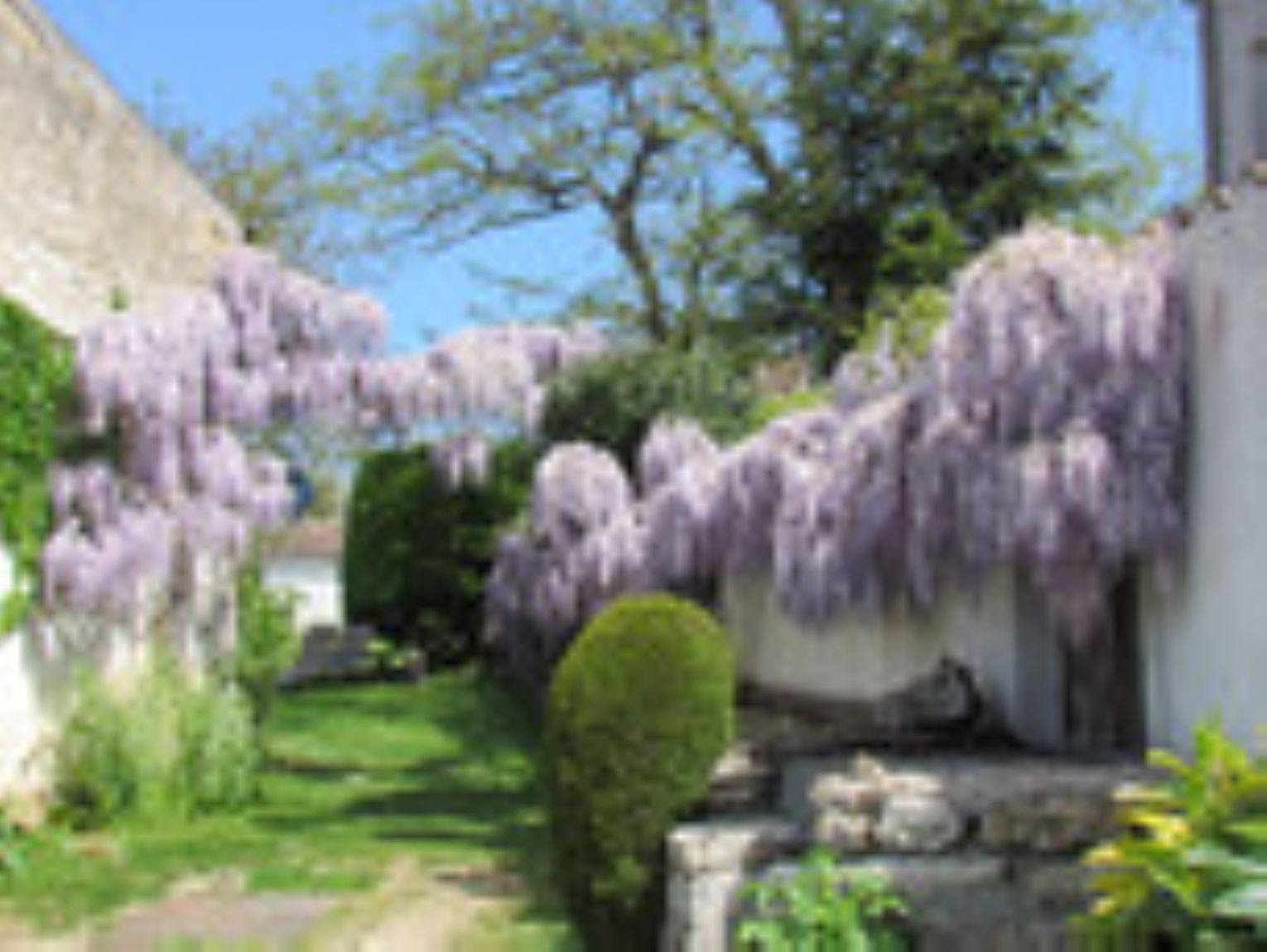 Photo n° 11 de la location