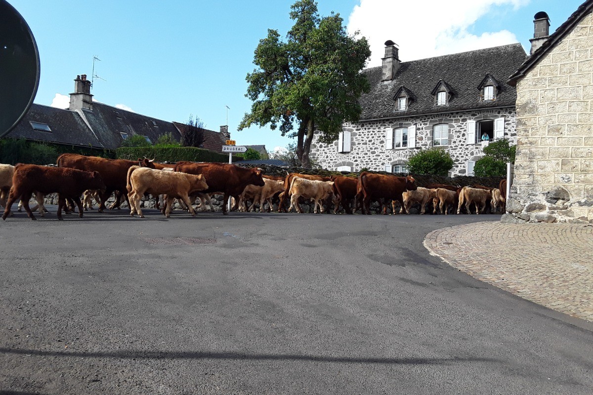 Photo n° 17 de la location