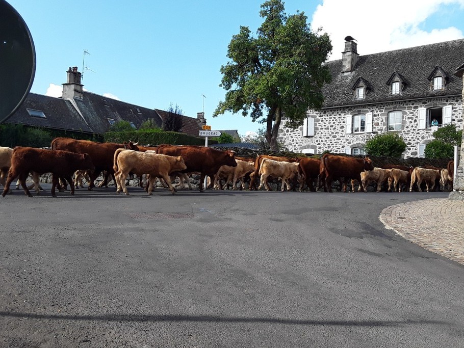 Photo n° 17 de la location