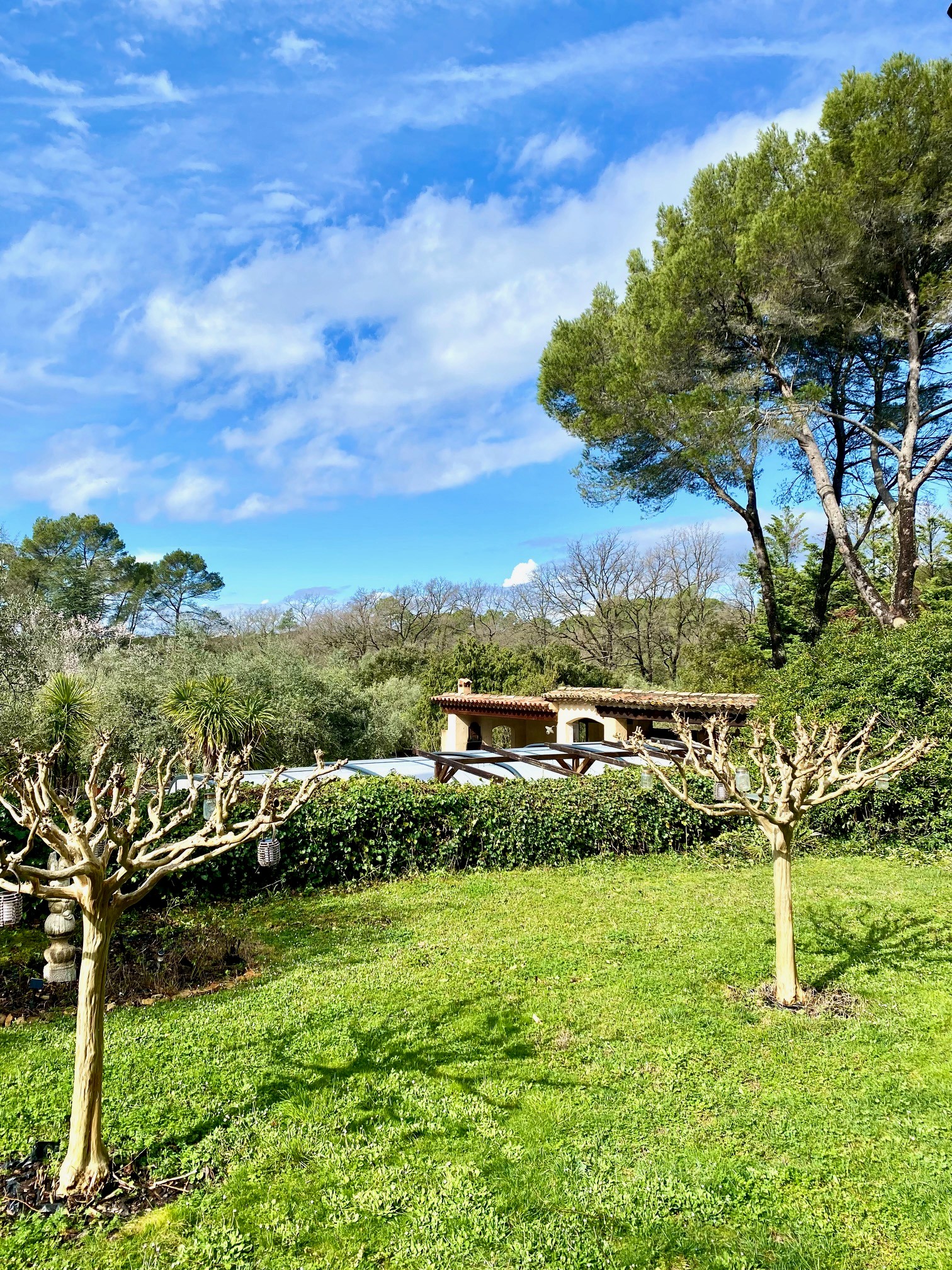 Photo n° 4 de la location
