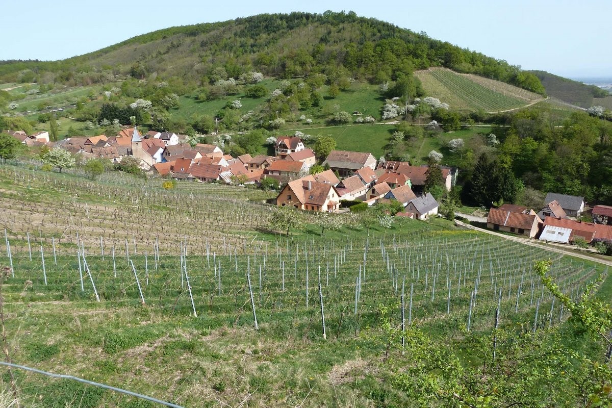 Bernardvillé