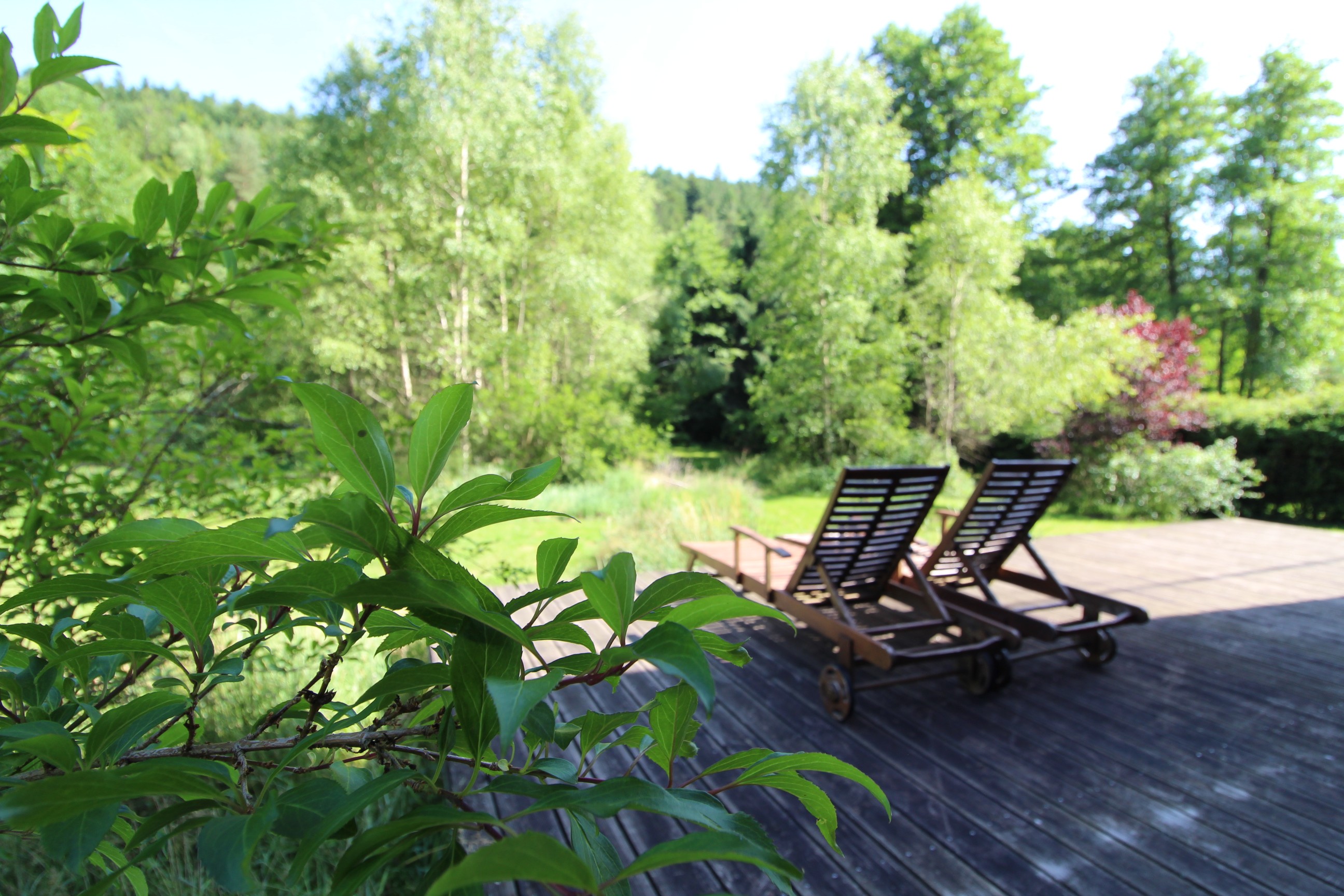 Terrasse - Chalet en bois tout confort aux Rouges-Eaux – Nature, jardin, randonnées Vosges