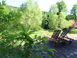 Terrasse - Chalet en bois tout confort aux Rouges-Eaux – Nature, jardin, randonnées Vosges