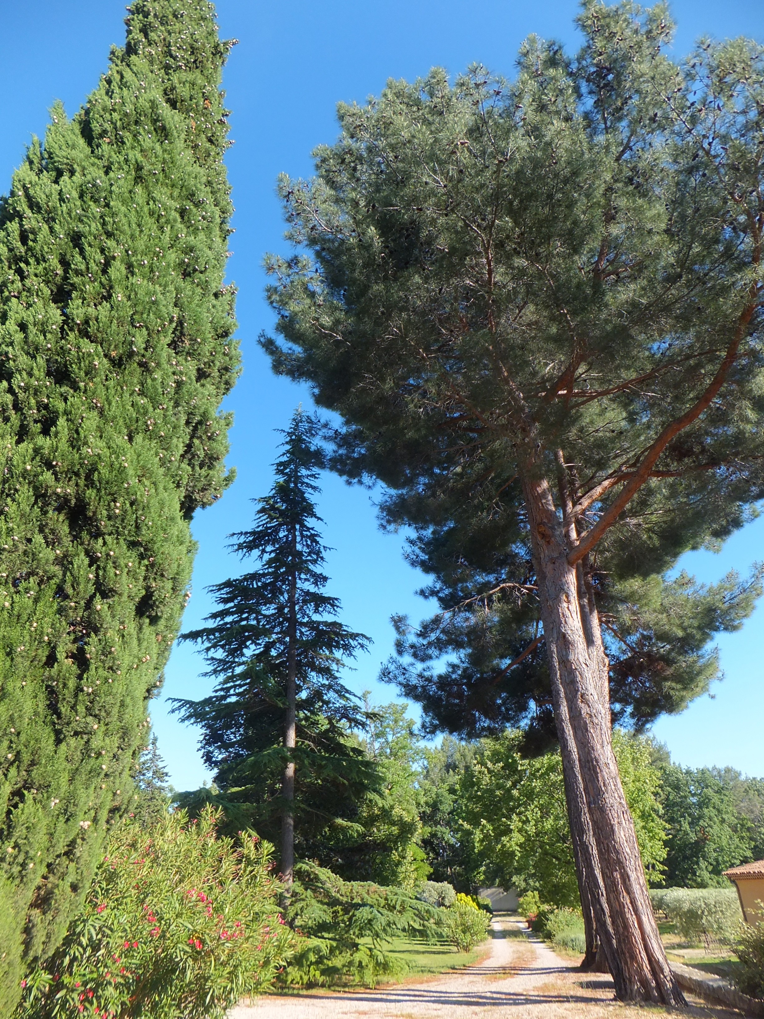 Photo n° 7 of the location