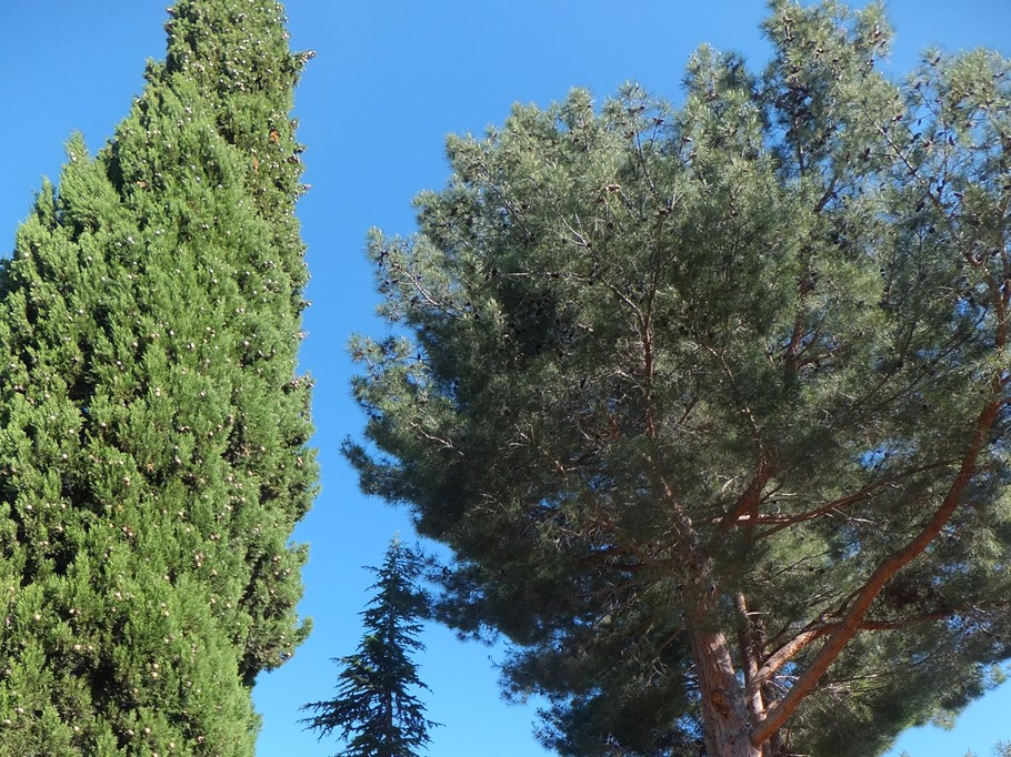 Photo n° 7 de la location