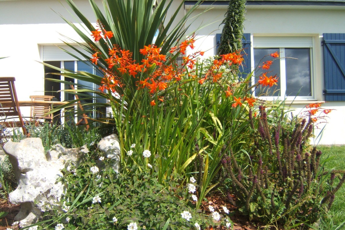 Photo n° 14 de la location