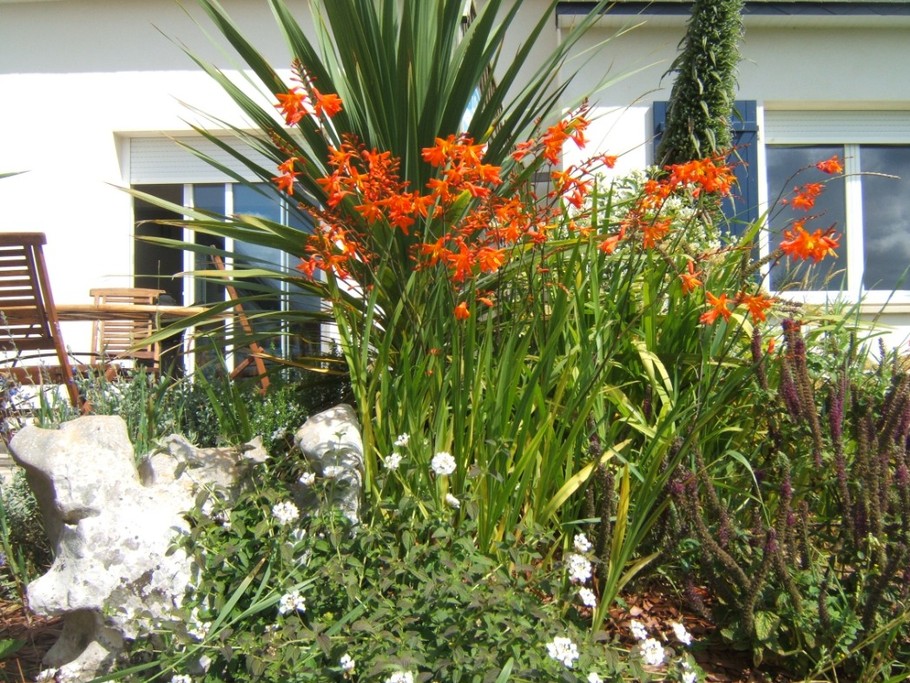 Photo n° 14 de la location