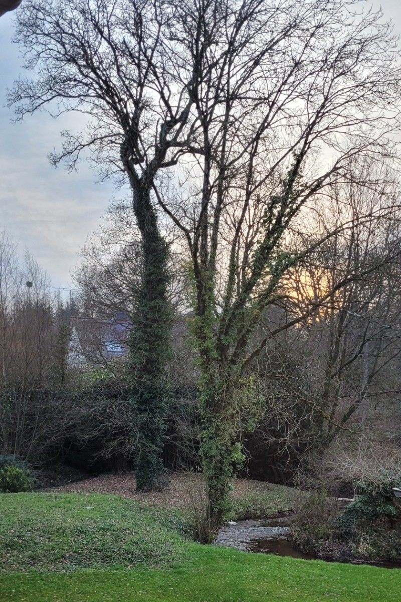 STUDIO COCOON et SPACIEUX POUR 2 PERSONNES - PLAINTEL - ST BRIEUC - COTES D'ARMOR - BRETAGNE